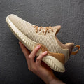 BN Ref 23
